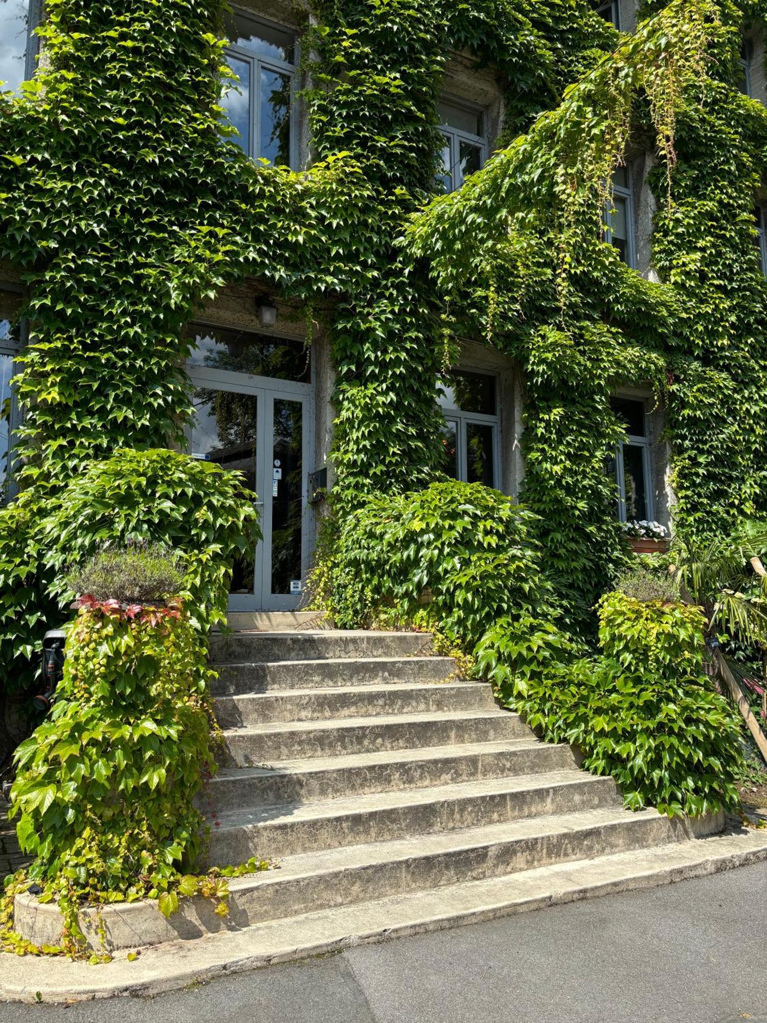 Logis Hotel-Restaurant - Le Moulin D'Artres מראה חיצוני תמונה